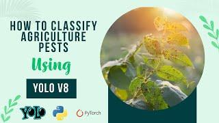 Image Classification Using YoloV8 Model on Custom dataset | Agricultural Pests