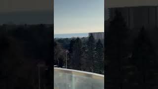 Доброе утро ️Marine Garden Sochi Hotels&Resort 4⭐️Рады поделиться прекрасной новостью 