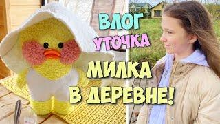 ️Жизнь в деревне с уточкой Милкой! Влог с уточкой Lalafanfan! Ксюша и Милка