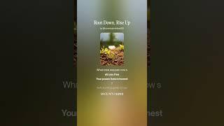 Root Down, Rise Up