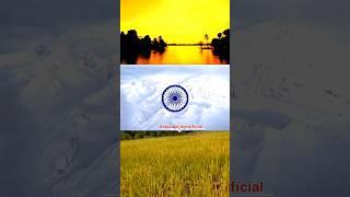 habibaikram #independenceday #independancedaydrawing #reels independence day viral video#trending