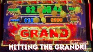 HITTING MY FIRST GRAND!!! EPIC JACKPOT ON BUFFALO LINK | WHAT A FUN TRIP TO LAS VEGAS.