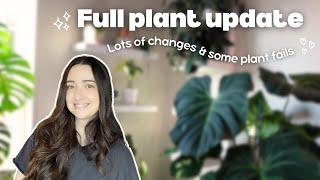 Full Houseplant Collection Update  February 2025
