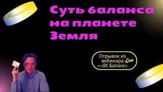 Суть баланса на планете Земля  |  Отрывок из вебинара "4К Баланс"