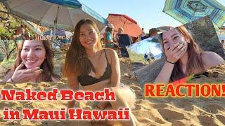 Naked Beach in Maui, Hawaii | Ilokana Reaction to Naked Beach