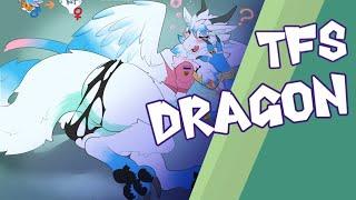 tf tg dragon//transformation dragon