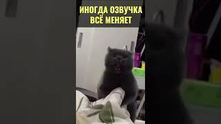 Озвучка, которая попала на 100%