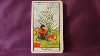 The Herbal Tarot Full Flip Through