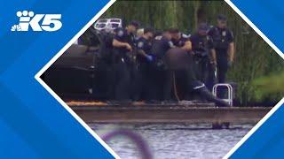 BREAKING: Seattle police fish suspect out of water after he flees following firing at officers