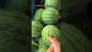  Who needs a knife? One finger watermelon cutting! #impressiveskills #fruitmastery #watermelonlife