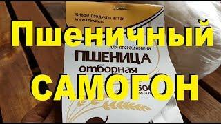 ЖИВОЙ ПШЕНИЧНЫЙ САМОГОН на диких дрожжах с сахаром. От Сан Саныча.