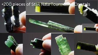 +200 pieces of Stak Nala Tourmaline Crystals | These are Multicolor Tourmaline Cluster