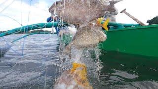 Ganitong Isda ang madalas nahuhuli kapag may Bagyo