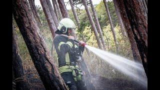 Waldbrand in Bad Vöslau am 20.08.2022