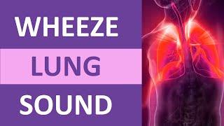 Wheezing Lung Sound Audio (High Pitch) | Nursing Adventitious Lung Sounds NCLEX Review