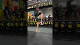Muay Thai mastery from Tawanchai ⁠