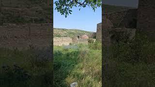 7 seconds of Cicadas in Old Nichbisi Fortress.