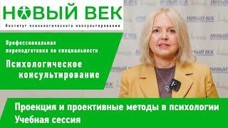 Сессия "Проекции и проективные методы",  институт психологического консультирования "Новый век"