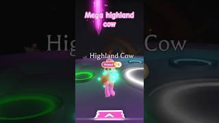 AH Mega highland cow 🫶