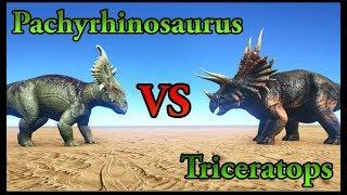 Pachyrhinosaurus VS Triceratops || ARK: Survival Evolved || Cantex