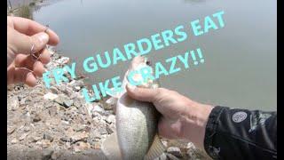 Revisiting An Old Video For A Largemouth Hammer Fest At The Cooling Ponds.