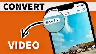 How to CONVERT Live Photos to Video in iPhone I Convert Multiple Live Photos to Video on iPhone