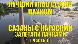 ЛУЧШАЯ РЫБАЛКА ПАУКОМ В СЕЗОНЕ! САЗАНЫ С КАРАСЯМИ ОПЯТЬ ПАЧКАМИ ЗАЛЕТАЛИ! (1-я часть)