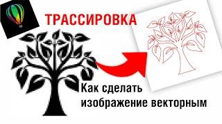 Трассировка. Как сделать изображение векторным? Какие картинки подойдут оптимально? Corel Draw