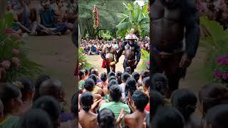 Mysterious masquerade festival in the heart of the jungle #nature #animals
