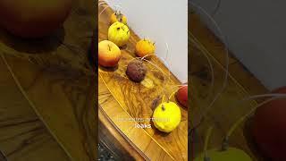 Tour of the The Japan pavilion at the 2024 Venice Biennale  Yuko Mohri #art