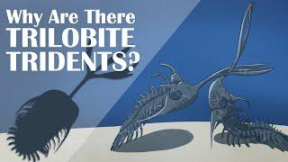 Why are there Trilobite Tridents?