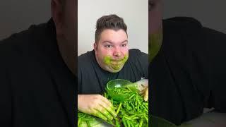 YTP Short: Nikocado Avocado Gets Distorted After Eating Poisoned Taxis