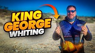 The SECRET to Catching King George Whiting on the BEAC Revealed!