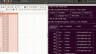 Using mysqlimport tool to load data into a table in a MySQL database