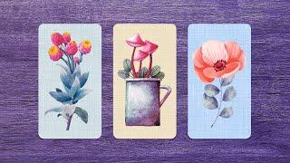 ¿Cuáles son sus intenciones contigo? 🫢 ️‍ Tarot interactivo 