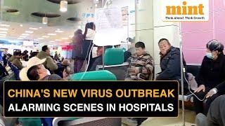 HMPV Virus in China: Should the World Be Worried? | Viral Videos Claim Spread of Metapneumovirus