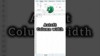 Excel Auto Adjust Column Width in Just 5 Seconds! Quick & Easy Guide #excel #viral #exceltips