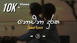 Noena Duraka - නොඑනා දුරක (Slowed+Reverb)