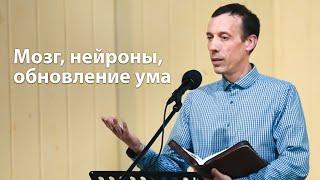 Мозг, нейроны, обновление ума - Михаил Голубин