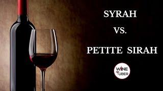 Syrah vs Petite Sirah. What is the differences between Syrah & Petite Sirah | @WineTuber