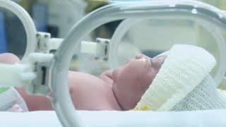 Neuroscience Research at UNE: Can We Reduce the Effects of Neonatal Trauma on the Brain?