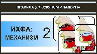 Айман Сувейд. 26. Правила нун с сукуном:  ИХФА (механизм) 2 (русские субтитры)