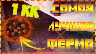 SunRise/САМАЯ ПРИБЫЛЬНАЯ ФЕРМА КАКАО БОБОВ ПОСЛЕ ВАЙПА НА СЕРВЕРЕ В МАЙНКРАФТЕ!