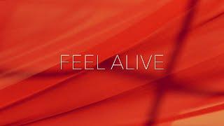 David M - Feel Alive (Official Video)