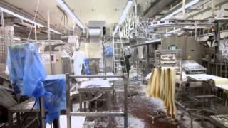 Cleaning of poultry plant (Radex S.A.)