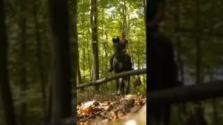 jumping in the forest!#horsejumping#equestrian #trailriders #foryou #edit #equestrianedit #editaudio