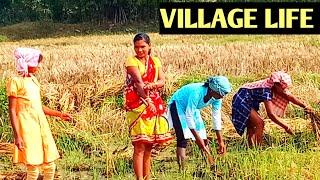 Indian Villages Life  || Desi Village girl  Vlog India || Village women vlog