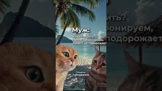 Геленджик #море #аренда #жилье #отдых #курорт #пляж #отпуск