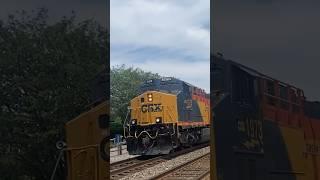 CSX Chessie System Heritage leads M277-25 #csx #heritageunits #railfanning #railroad #shorts