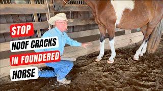 D/C  STOP HOOF CRACKS In FOUNDERED HORSES  PLUS Learn To Shoe Your Own Horse (Details Below)